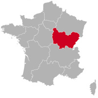 Golden Retriever breeders and puppies in Bourgogne-Franche-Comté,