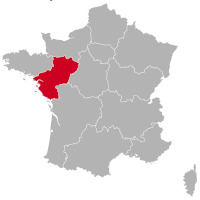 Golden Retriever breeders and puppies in Pays de la Loire,